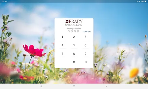 TheBradyBank screenshot 5