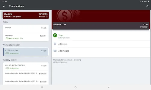 TheBradyBank screenshot 9