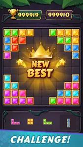 Jewel Block Puzzle: Gem Crush screenshot 13