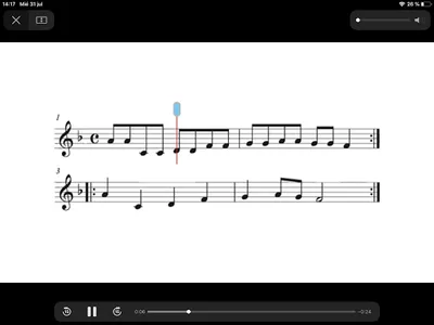 SIRINGA (TÀNDEM) screenshot 13