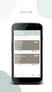 Avalon screenshot 2