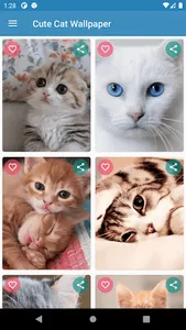 Cute Cat Wallpaper screenshot 0