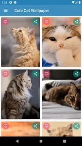 Cute Cat Wallpaper screenshot 17