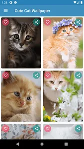 Cute Cat Wallpaper screenshot 2