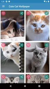 Cute Cat Wallpaper screenshot 3