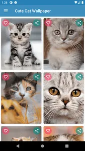 Cute Cat Wallpaper screenshot 4