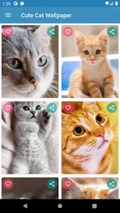 Cute Cat Wallpaper screenshot 7