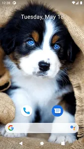 Cute Dog Wallpapers screenshot 0