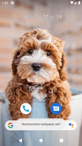 Cute Dog Wallpapers screenshot 22
