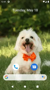 Cute Dog Wallpapers screenshot 3