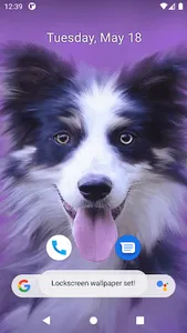 Cute Dog Wallpapers screenshot 4