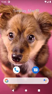 Cute Dog Wallpapers screenshot 5