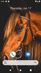 Horse Wallpaper HD screenshot 1