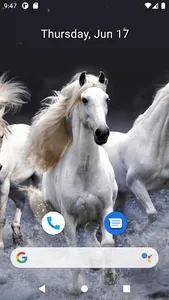 Horse Wallpaper HD screenshot 2