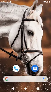 Horse Wallpaper HD screenshot 3