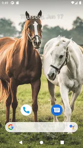 Horse Wallpaper HD screenshot 4