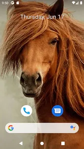 Horse Wallpaper HD screenshot 5
