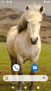 Horse Wallpaper HD screenshot 6