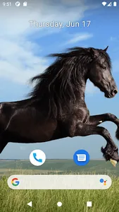 Horse Wallpaper HD screenshot 7