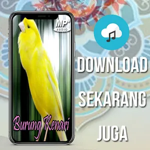 Masteran Kenari Gacor MP3 screenshot 3