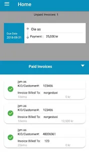 B.T.S Invoice screenshot 1