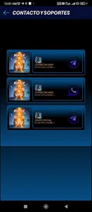 http bukele vpn screenshot 4