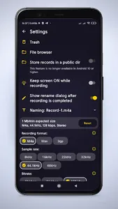 Audio Recorder pro screenshot 1