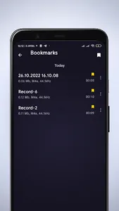 Audio Recorder pro screenshot 5
