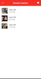 Busco Remate screenshot 7