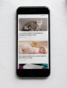 Бизнес идеи на дому screenshot 1