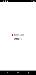 BA Audit screenshot 0