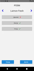 BA Audit screenshot 4