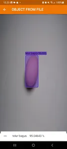 Detech (Yolo v5) screenshot 1