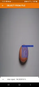 Detech (Yolo v5) screenshot 2