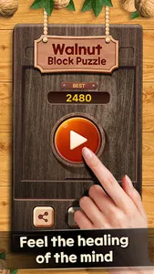 Walnut Wood Block Puzzle screenshot 13