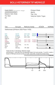 Bolu Veteriner Tıp Merkezi screenshot 4