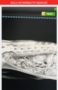 Bolu Veteriner Tıp Merkezi screenshot 5