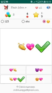 Flash mem # screenshot 1
