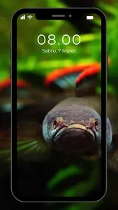 Wallpaper Ikan Channa screenshot 1