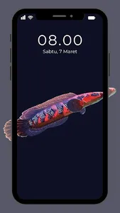 Wallpaper Ikan Channa screenshot 2