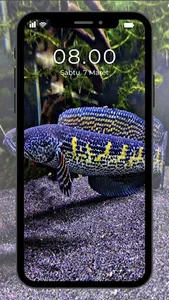 Wallpaper Ikan Channa screenshot 4