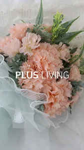 plusliving screenshot 0