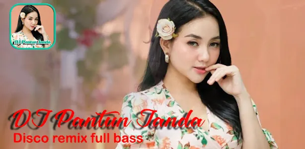 Dj patun janda mp3 offline screenshot 4