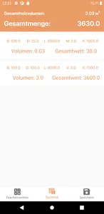 Holzrechner screenshot 2
