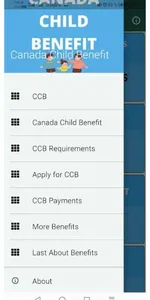Canada Child Benefit Info screenshot 0