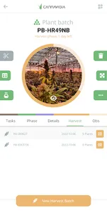 Cannavigia screenshot 1