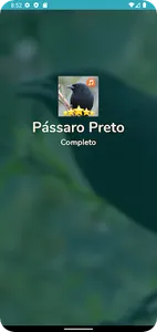 Canto de Pássaro Preto screenshot 0