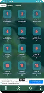 Canto de Pássaro Preto screenshot 7