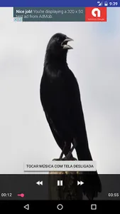 Black Bird screenshot 0