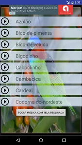 Canto Pássaros Silvestres screenshot 0